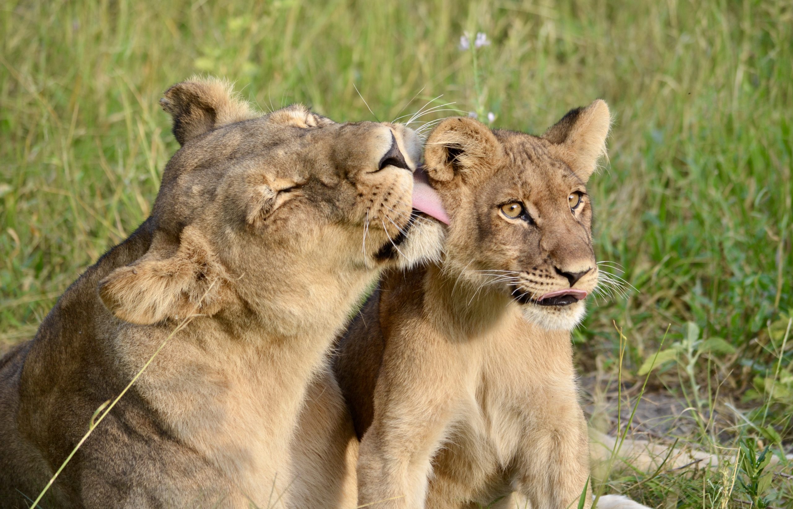 12 Night Tanzania Rift Valley Adventure with Hiking