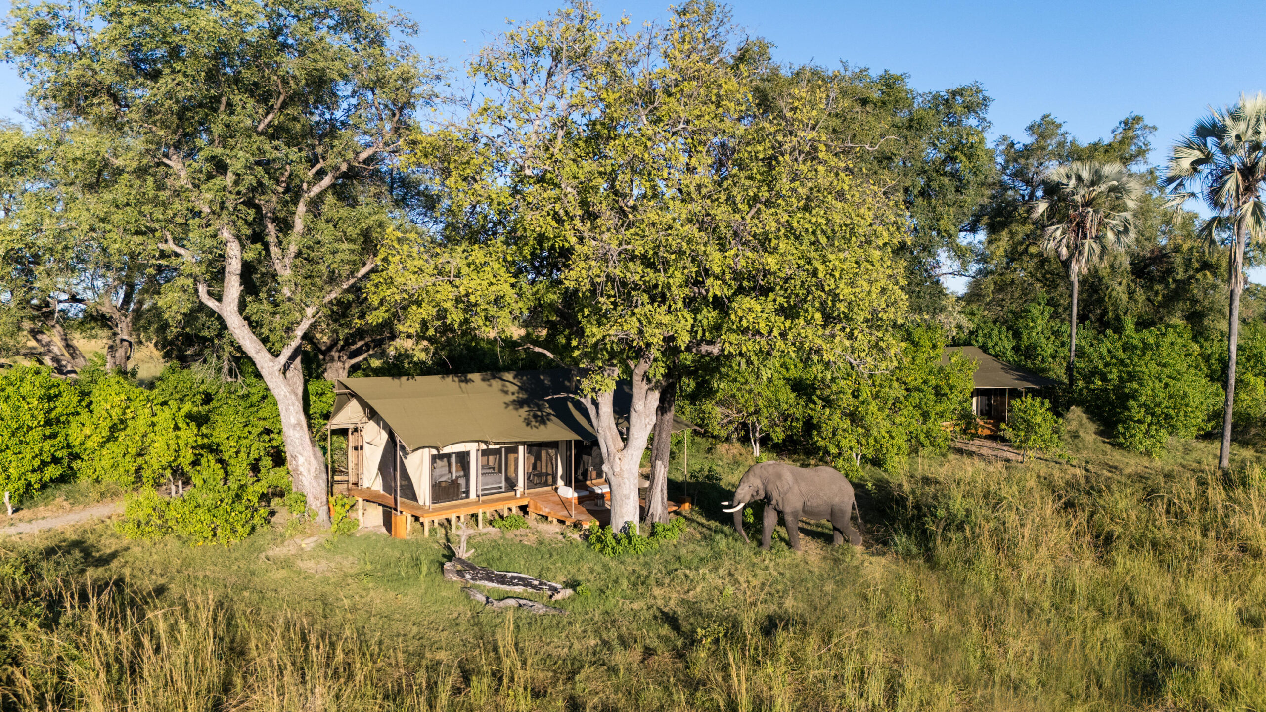 Monachira Camp – Okavango Delta