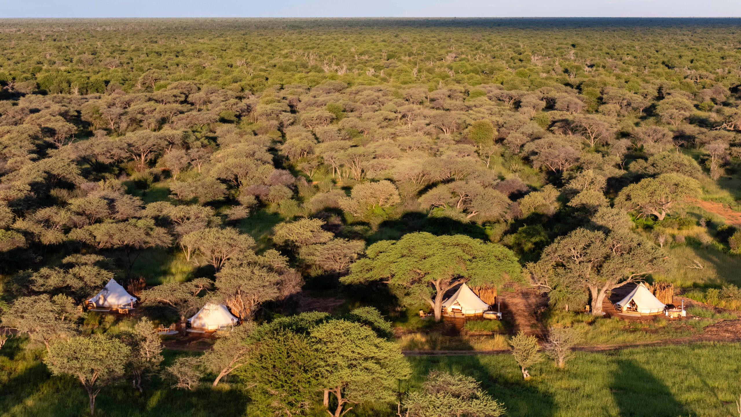Onguma Trails Camp – Onguma Nature Reserve – Etosha