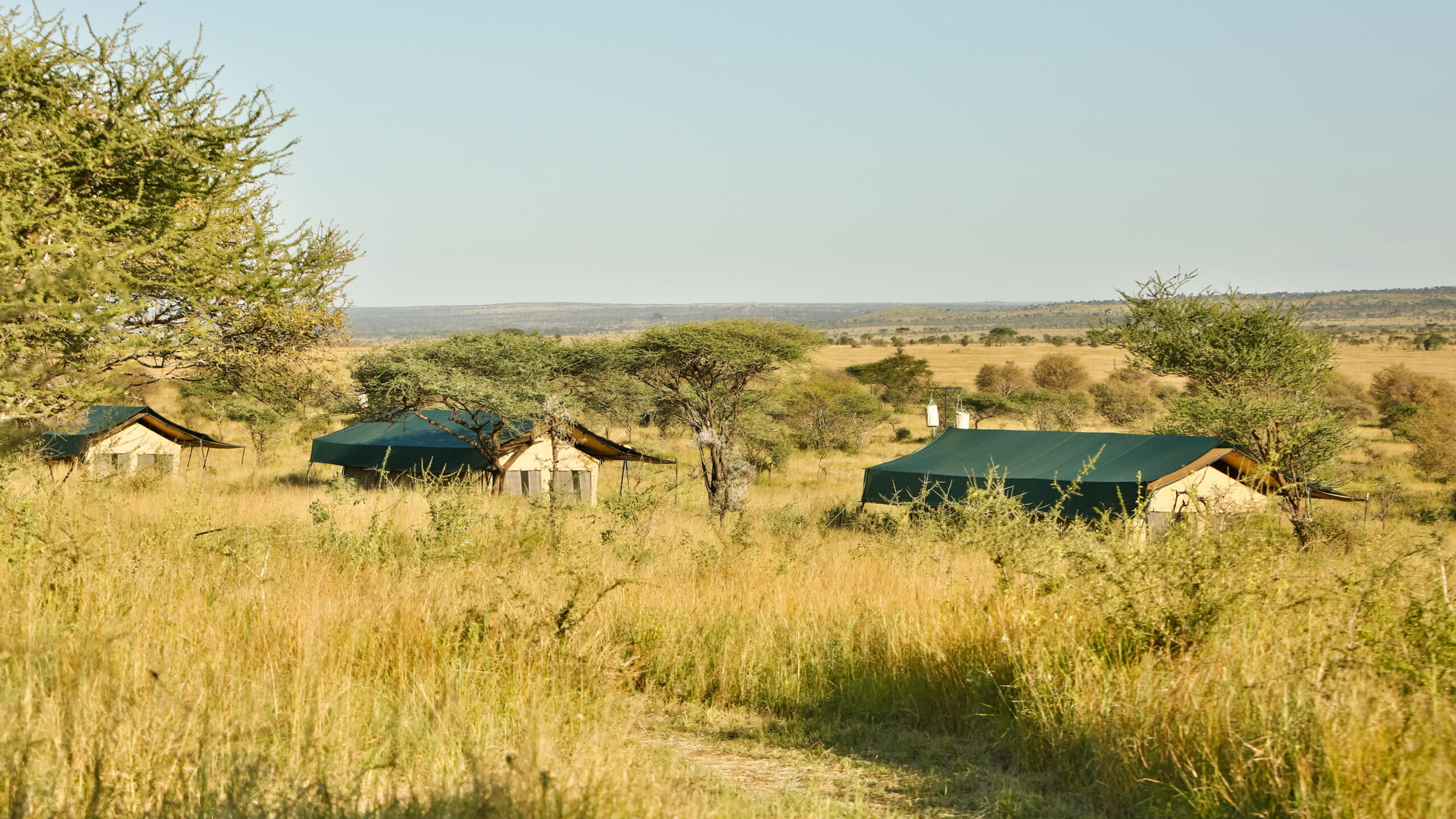 Nyikani Camp – Central Serengeti