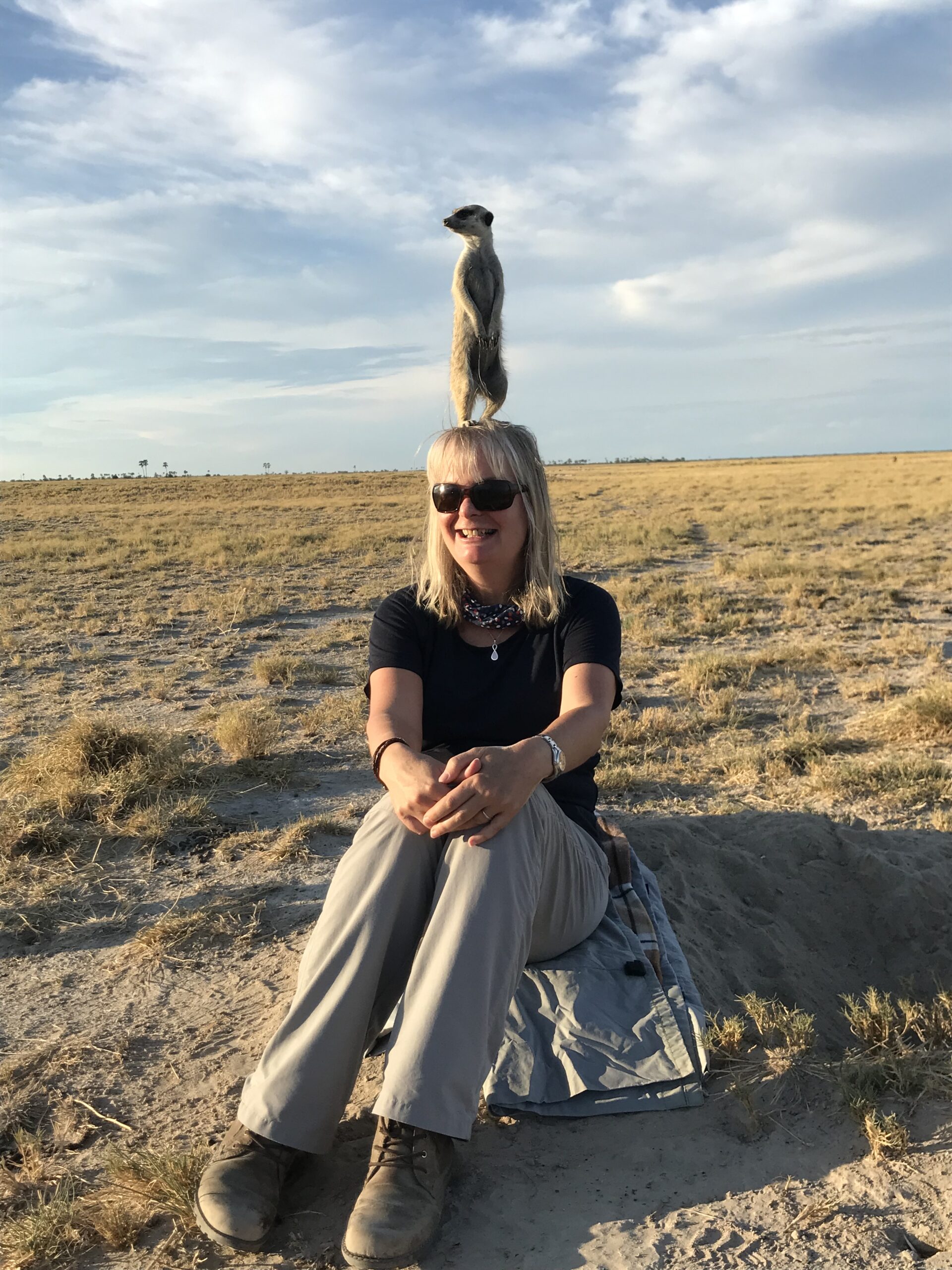 Meerkat Watch – best places to view habituated Meerkats in Africa!