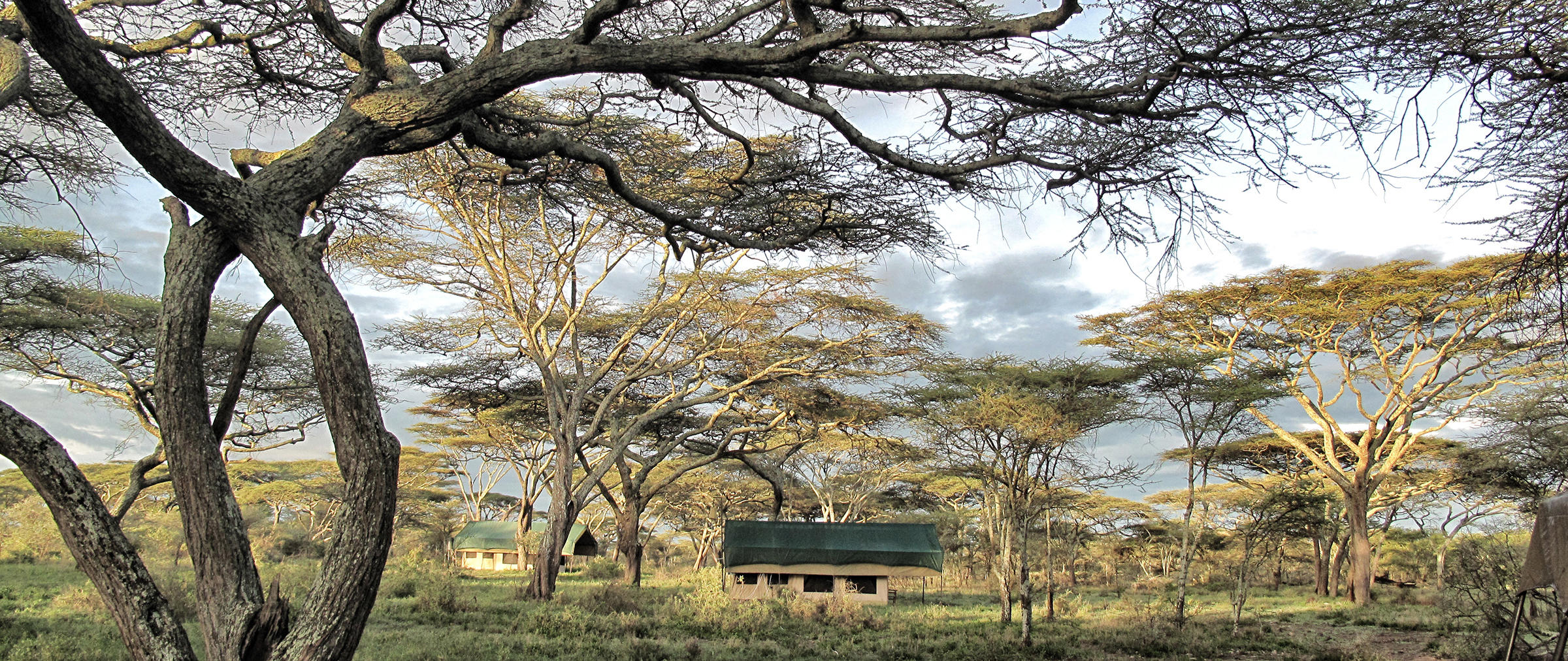 Serian Mobile Kusini – Serengeti