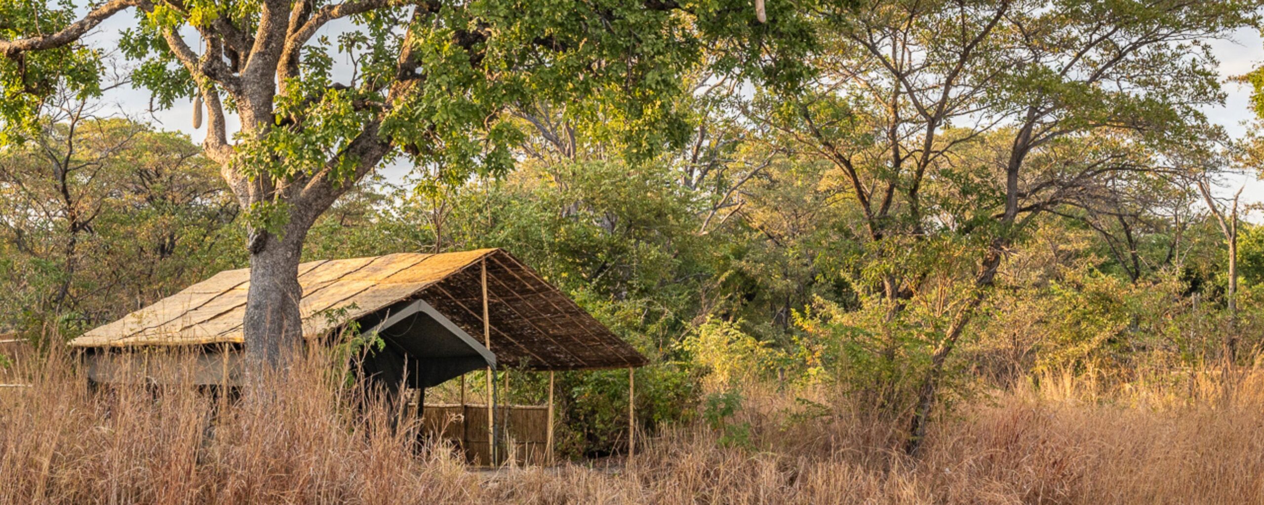 Nkonzi Camp – South Luangwa National Park
